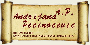 Andrijana Pečinoćević vizit kartica